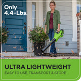 24V 450 CFM Cordless Battery Leaf Blower w/ 4.0 Ah USB Battery & Charger