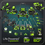 60V 730 CFM Cordless Battery Backpack Blower (Tool Only)