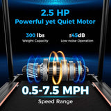 2.5 HP Walking Treadmill for Senior with Long Handrail, 300 lbs Capacity, Recovery Fitness Exercise Machine for Home with Pulse Sensors