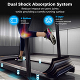 2.5 HP Walking Treadmill for Senior with Long Handrail, 300 lbs Capacity, Recovery Fitness Exercise Machine for Home with Pulse Sensors