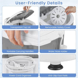 5.5lbs Portable Mini Washing Machine with Spin Dryer & Drain Hose, Semi-Auto Laundry Washer for Dorm RV